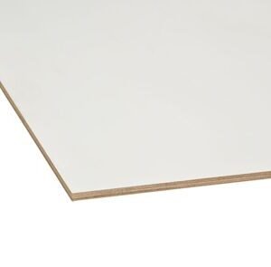 Bruynzeel paintpanel okoume 330/330gr wit/grijs paintfilm FSC 2500x1220x10mm