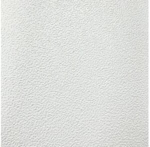 AX Plafondplaat Wit Glad 1200x600x9,5mm