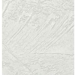 Agnes plafondpaneel 45TF pleisterwerk 620x1220x12mm