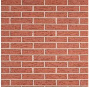 Strating rood bistro grofzand gevelsteen 50x100x210mm