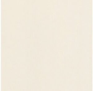 florence plafondpaneel voor buiten creme 6000x250x16,5mm 5pp