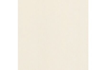 florence plafondpaneel voor buiten creme 6000x250x16,5mm 5pp