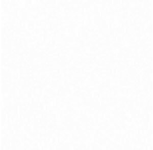 Florence plafondpaneel brilliante 5pp 2700x250x10mm