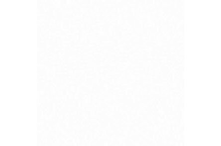 Florence plafondpaneel brilliante 5pp 2700x250x10mm