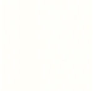 florence plafondpaneel voor buiten wit 6000x250x16,5mm 5pp