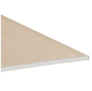 Gyproc stucplaat gyplat  rk 2000x600x9,5mm