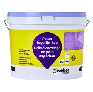 Weber Pasta tegellijm top 16kg