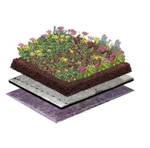 NatureGreen Kruiden Sedumdak 50% Sedum, 50% Kruiden 1m2