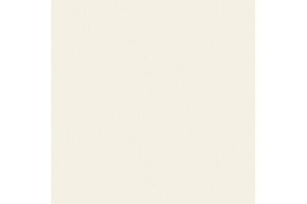 Fundermax Gevelplaat Compact FR Exterior NT 0733 Hygienic White 2800x1300x6mm