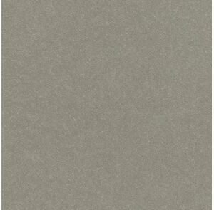 Equitone Gevelplaat Natura Pro ongekantrecht NU250 Grijs 1-z 2530x1280x8mm