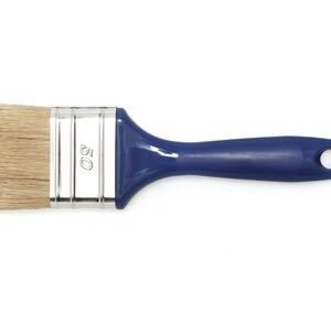 Wegwerpkwast plat 60mm