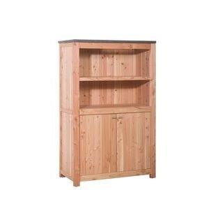 douglas buitenkeuken dubbele deur onbehandeld 56x109x1680mm