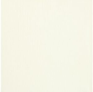 fortalit geveldeel wit 6000x150x17mm