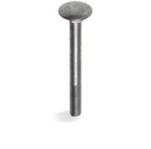 Fis profi slotbout m6x40mm RVS a2