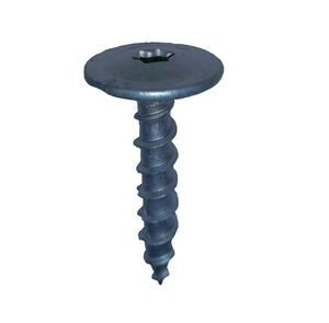 Woodies tellerkop schroef torx t40 8,0x40mm shield